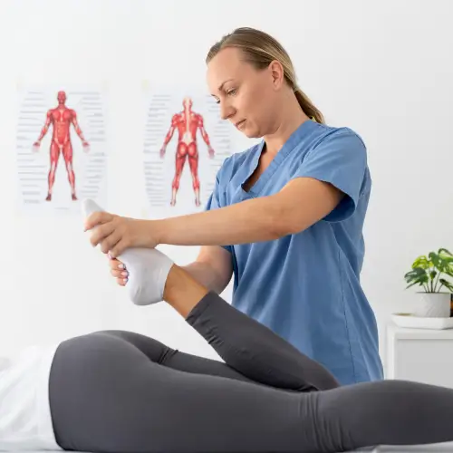 Anatomia Aplicada à Fisioterapia